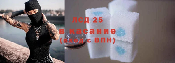 шишки Алзамай