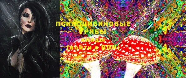 шишки Алзамай