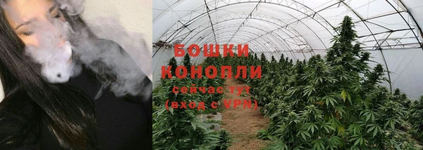 шишки Алзамай