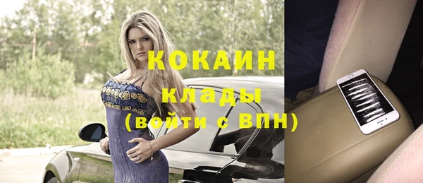 шишки Алзамай