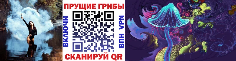 закладка  Арамиль  Галлюциногенные грибы мицелий 